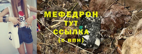 ГАЛЛЮЦИНОГЕННЫЕ ГРИБЫ Корсаков