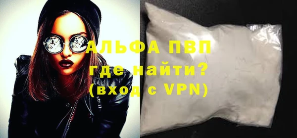 ГАЛЛЮЦИНОГЕННЫЕ ГРИБЫ Корсаков