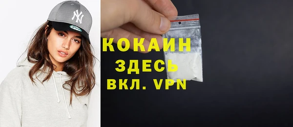 ГАЛЛЮЦИНОГЕННЫЕ ГРИБЫ Корсаков