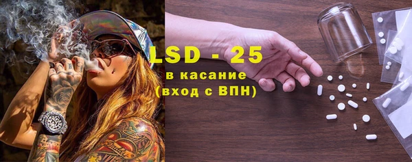 ГАЛЛЮЦИНОГЕННЫЕ ГРИБЫ Корсаков